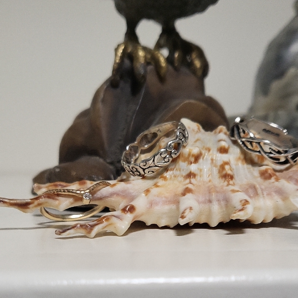 Ring Bundle - image 1